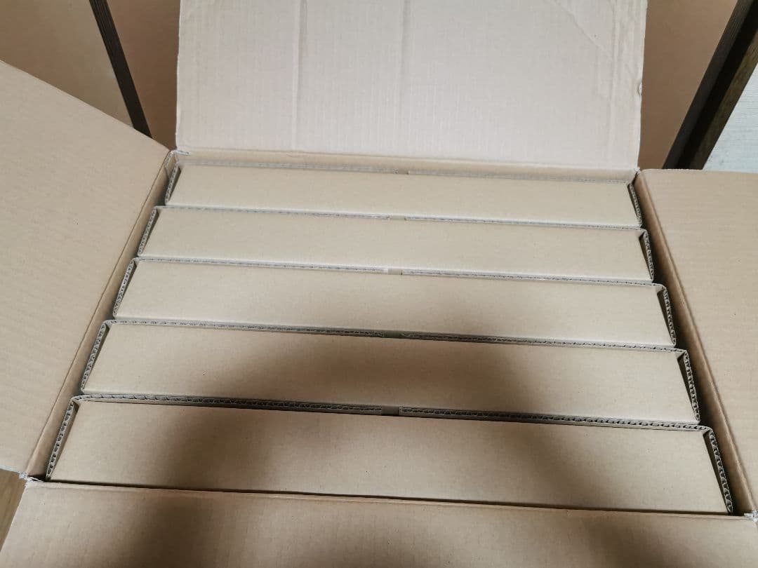 ドイツ型標本箱 5個セット 昆虫標本 ドイツ箱