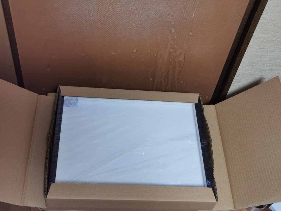 ドイツ型標本箱 5個セット 昆虫標本 ドイツ箱