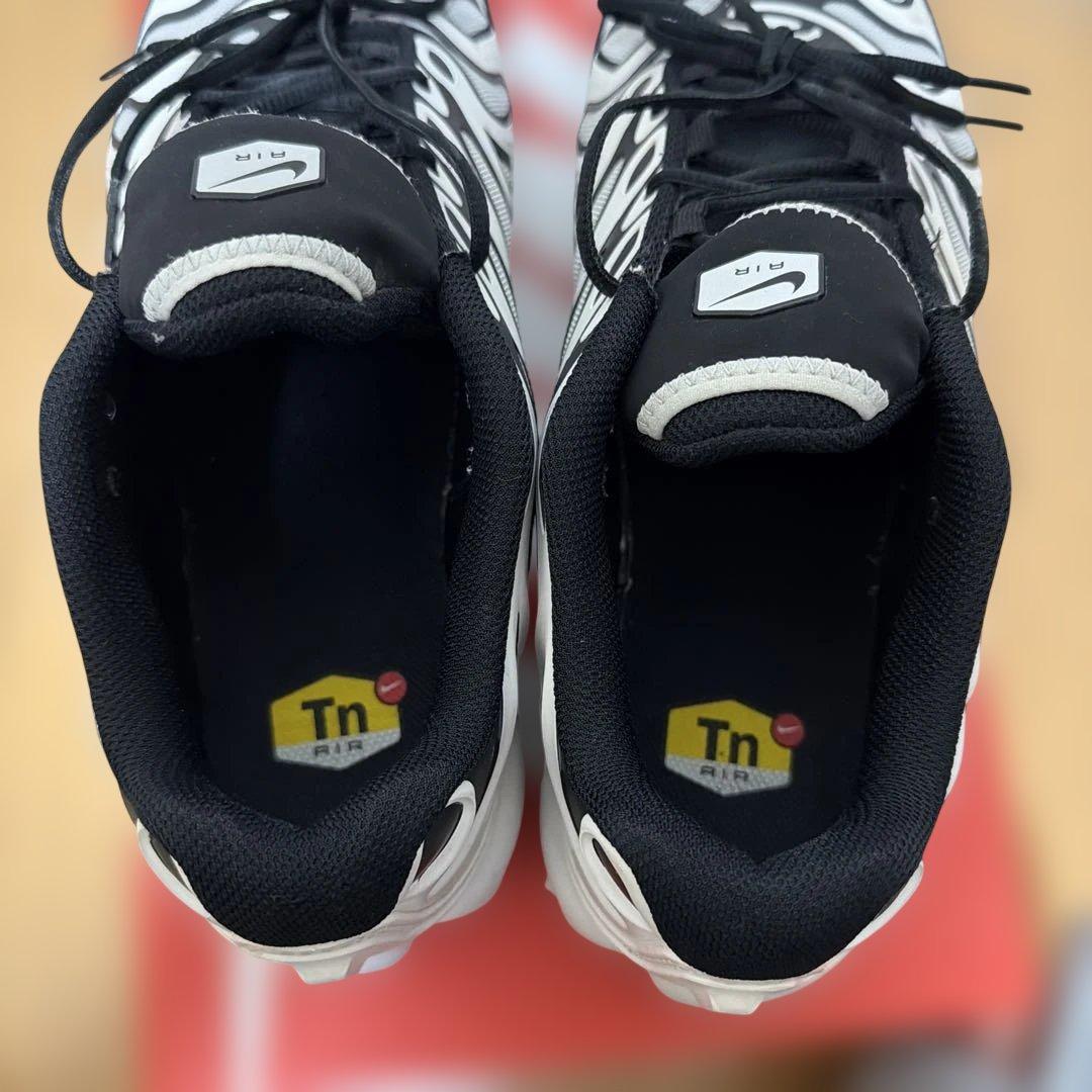 AIR MAX PLUS DRIFT NIKEスニーカー　29cm 白黒