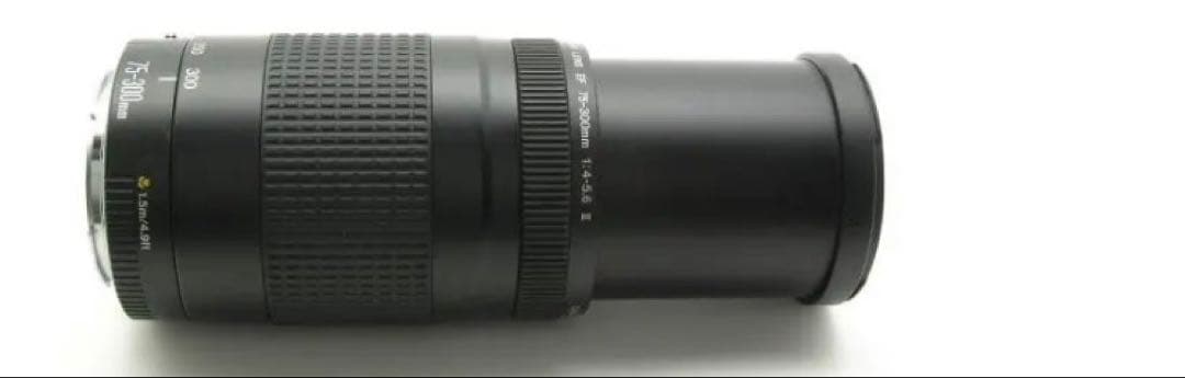 大迫力の300㎜/大望遠レンズ/キヤノン/Canon EF75-300 II