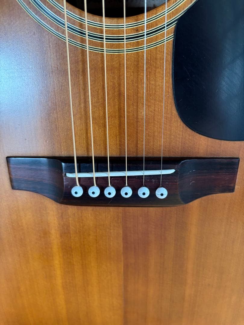 弦、ブリッジピン新品！Maruha アコースティックギター【中古品】