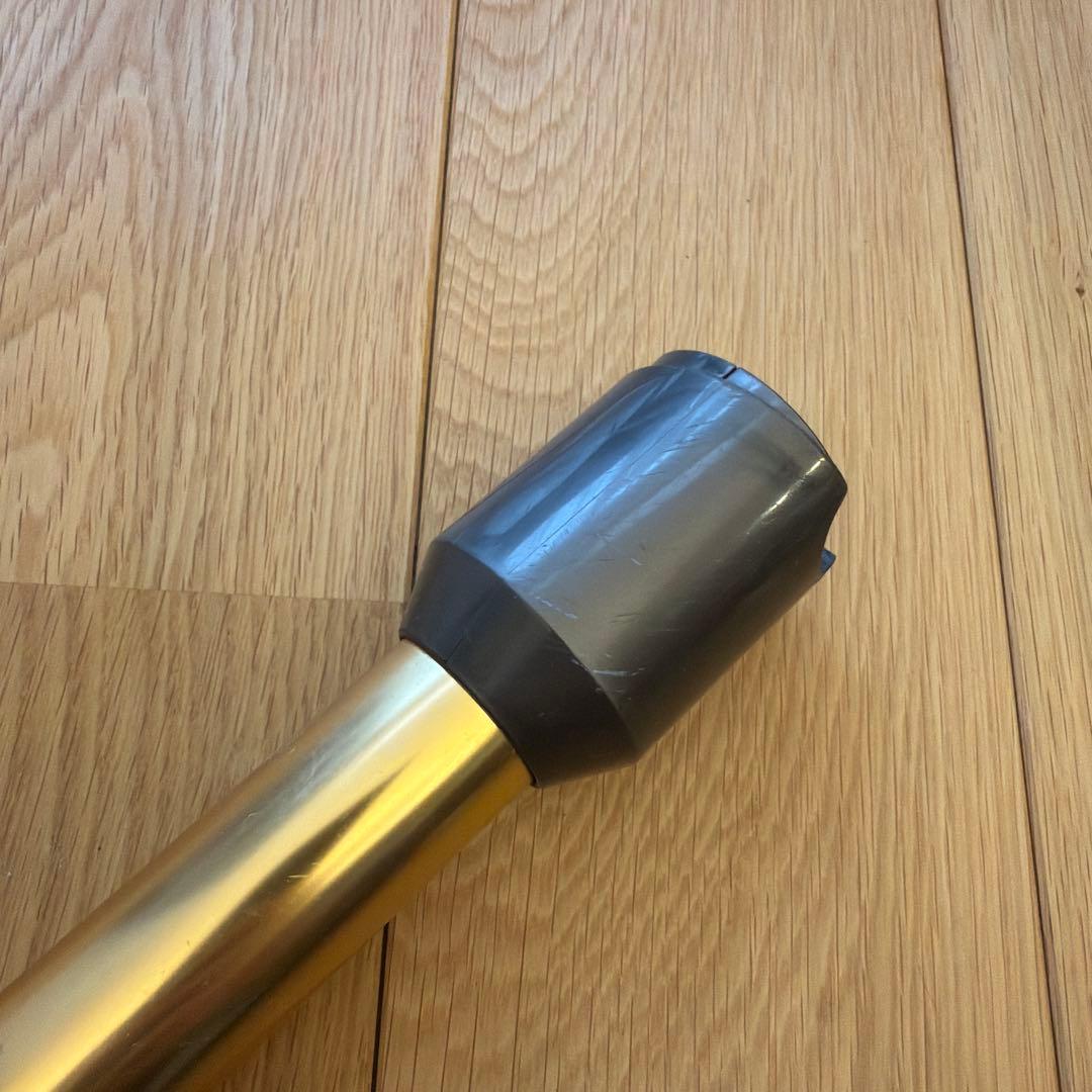 Dyson V12 Detect Slim Absolute ダイソン 掃除機