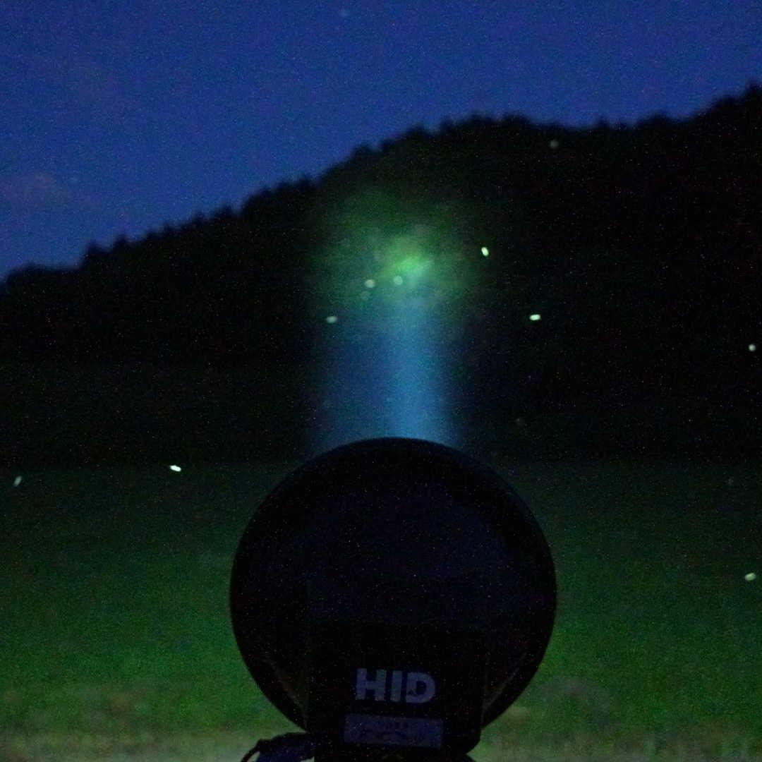 新品HIDライトトラップ　強力約65～110W　紫外線強化バルブ　灯火採集