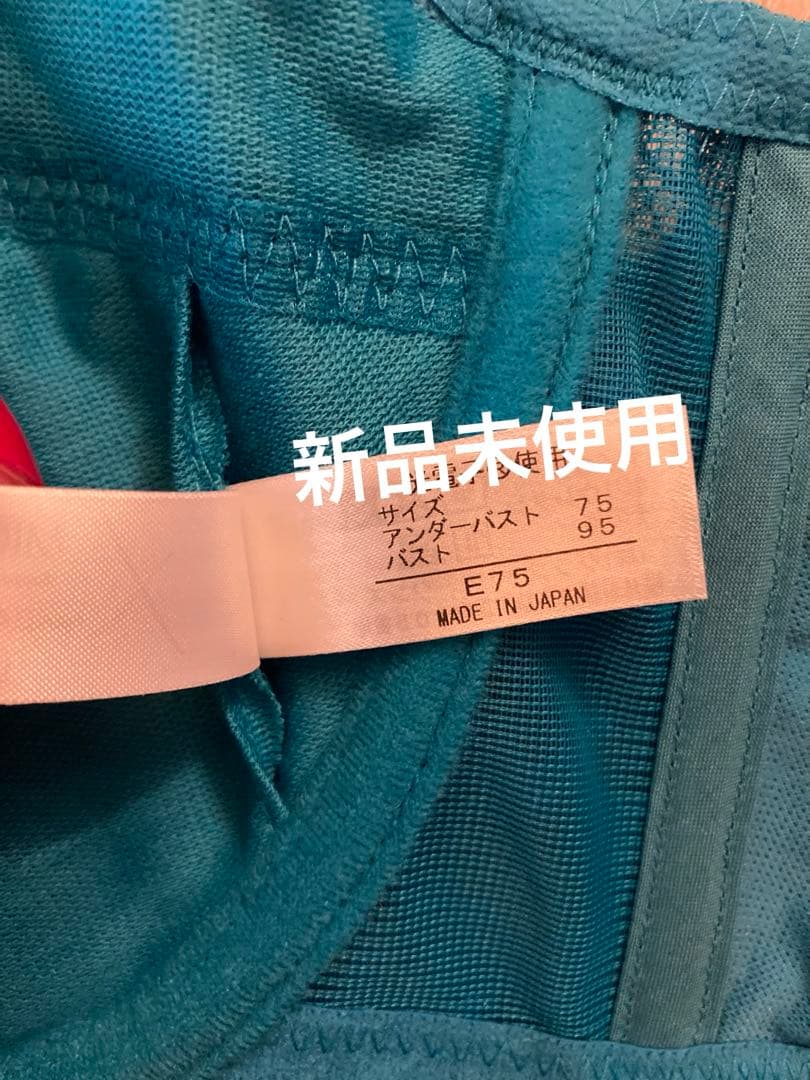 E75 レーシーブラジャー　ショーツLシェル