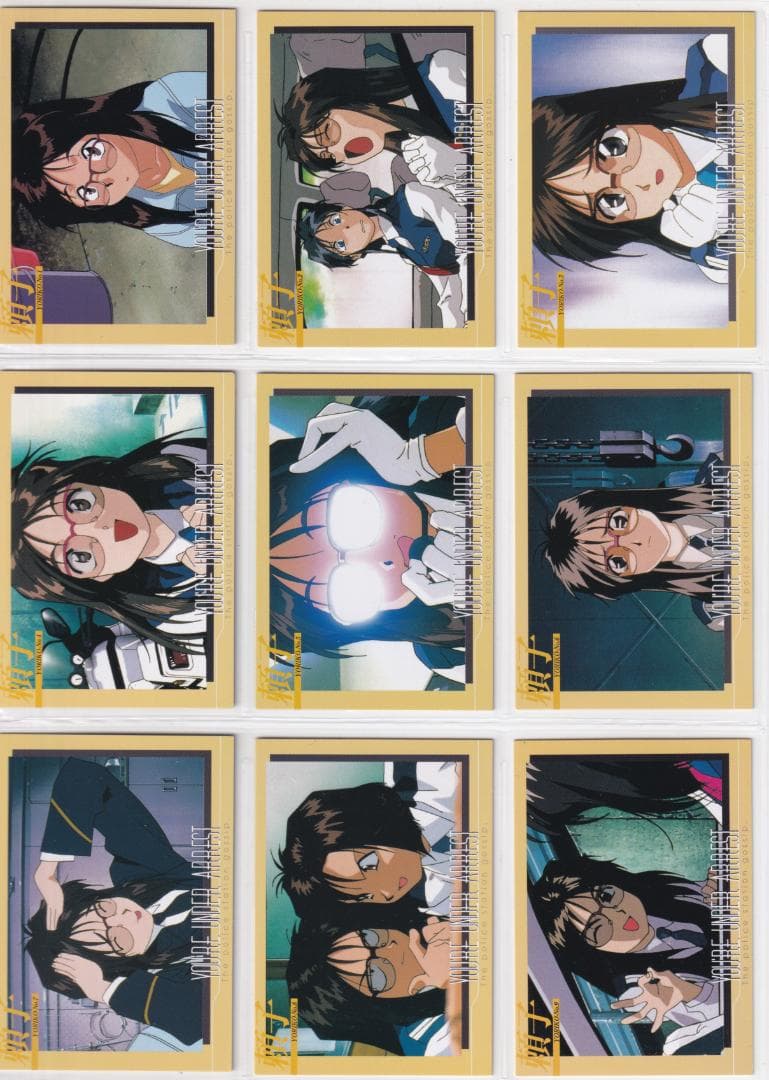 逮捕しちゃうぞ トレーディングカード 藤島康介 全種類フルコンプ