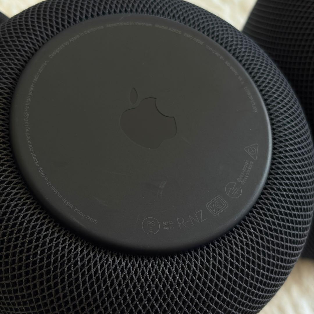 Apple Pod 第二世代 2個セット