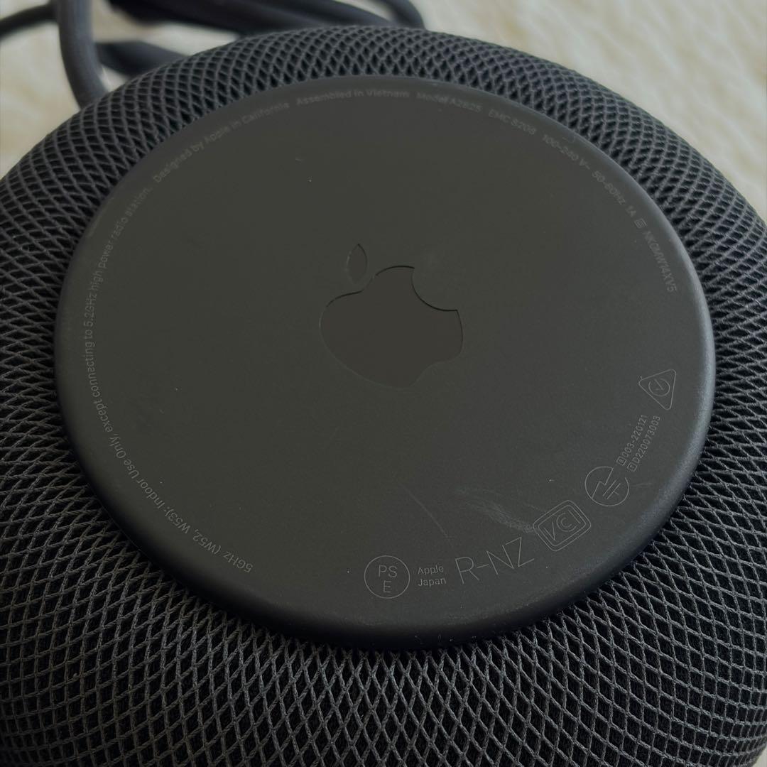 Apple Pod 第二世代 2個セット