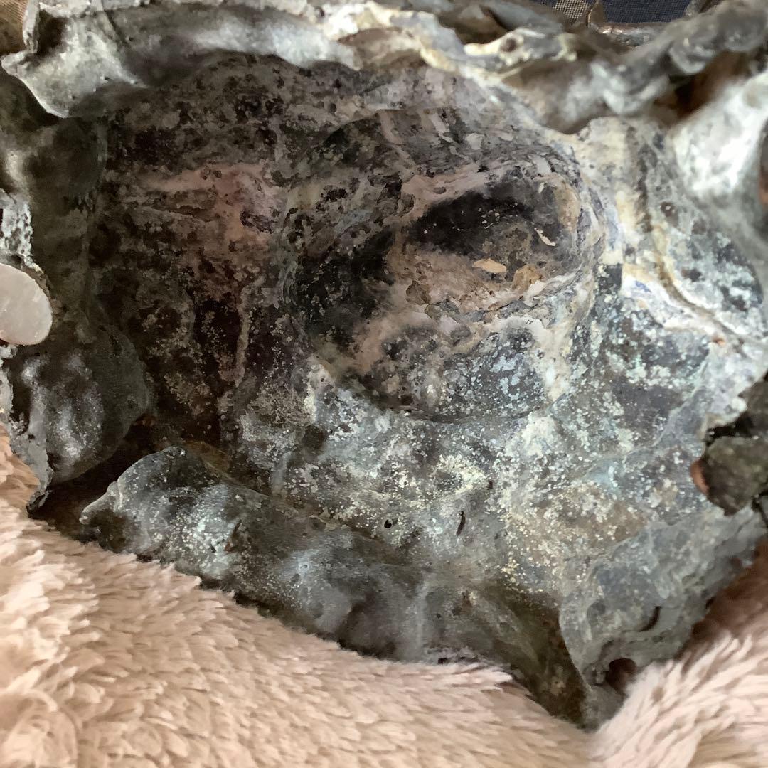 駒谷天藏様売約keep・中国チベット「亀上・千手千眼觀世音菩薩」伽梵達摩尊