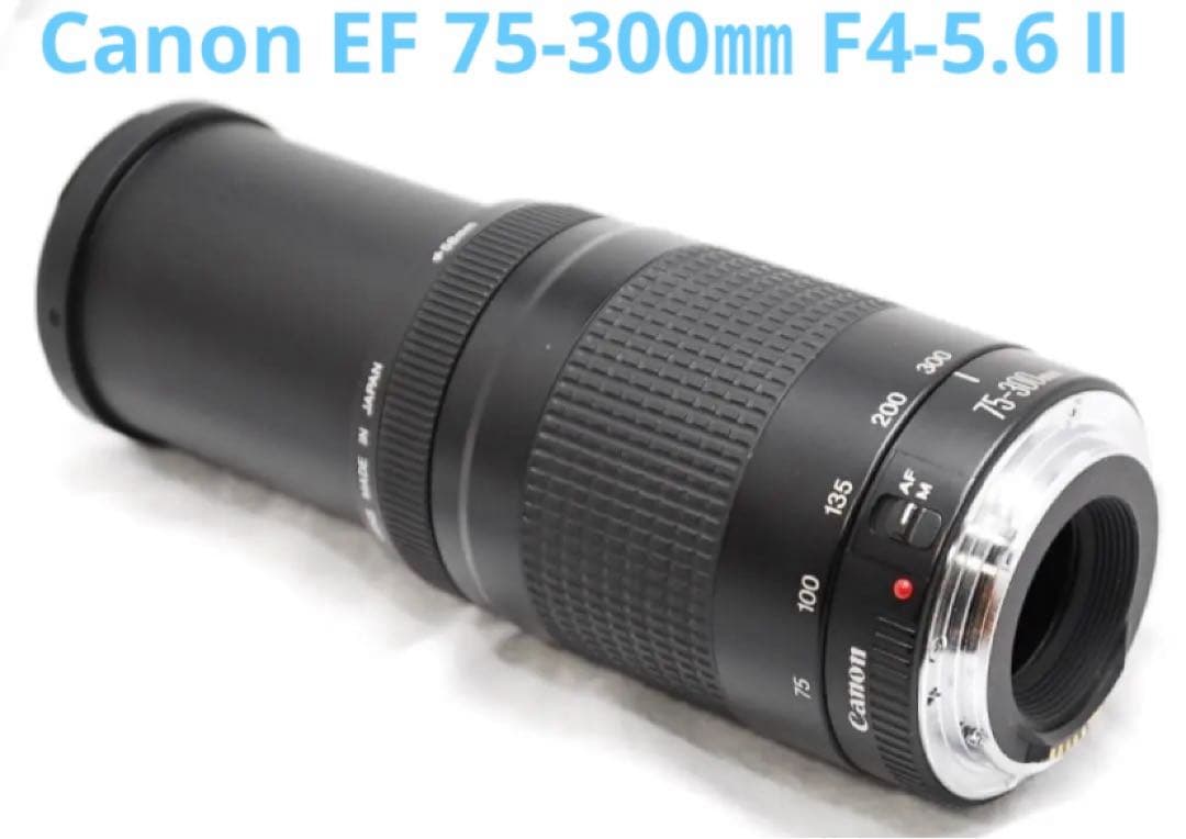迫力300㎜/一眼レフカメラ/Canon EF 75-300㎜ F4-5.6 Ⅱ