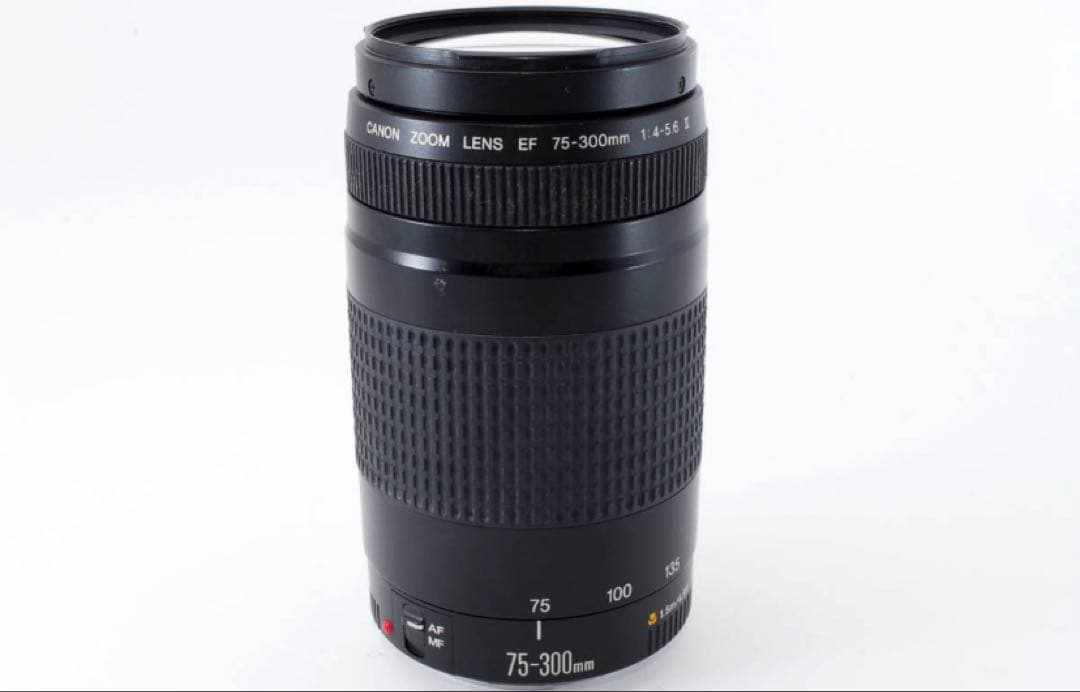 迫力300㎜/一眼レフカメラ/Canon EF 75-300㎜ F4-5.6 Ⅱ