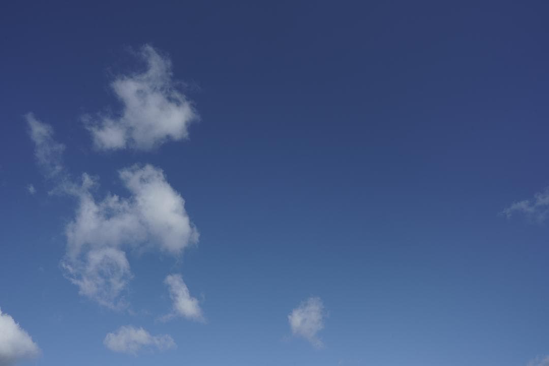 デジタルカメラ SONY FE 24mm F1.4 GM (SEL24F14GM)