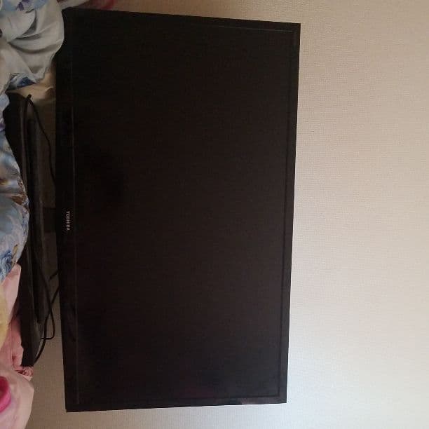 REGZA　テレビジャンク