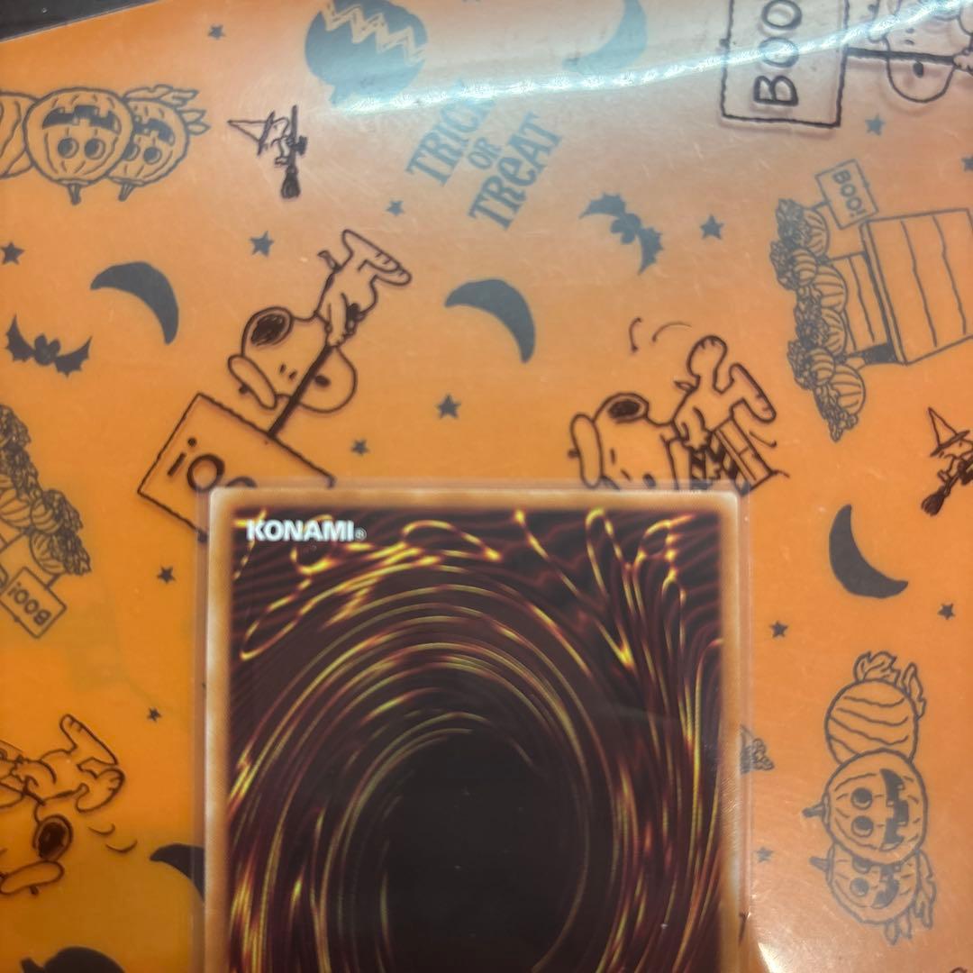 エルシャドールアプカローネ　五つ目個体　極美品