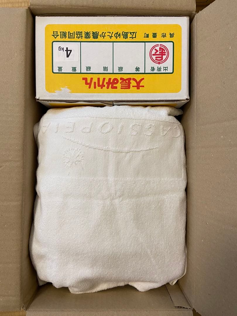 Macintosh Color Classic キーマウ フロッピー ジャンク