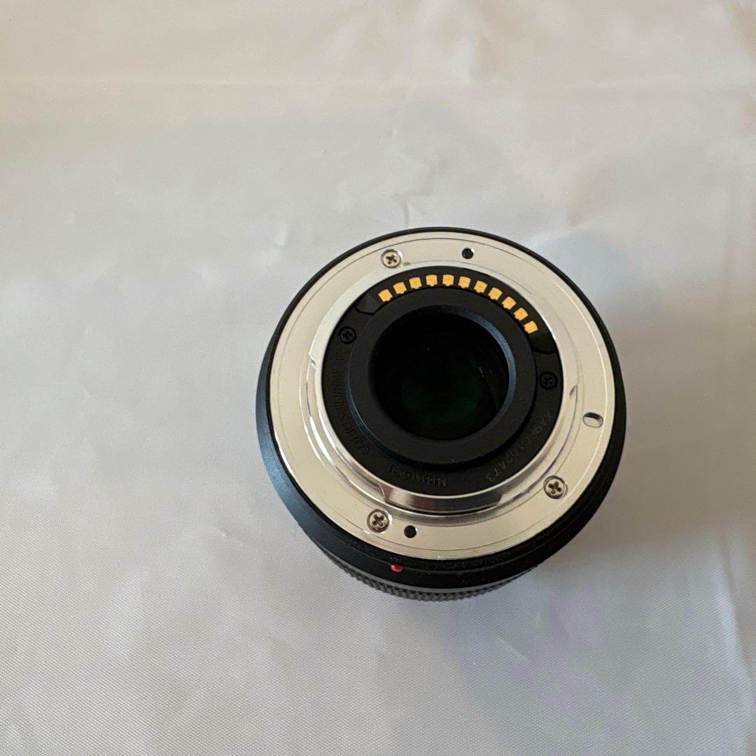 パナソニック LUMIX DC-GF90W-K ブラック ダブルレンズキット