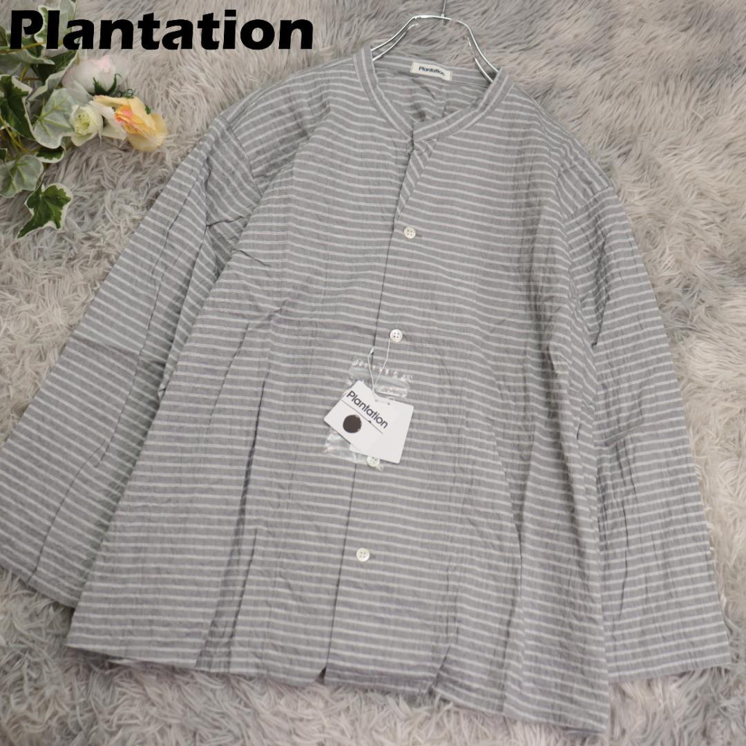 タグ付き未使用✨Plantation✨シャーリングボーダー　シャツ　ブラウス