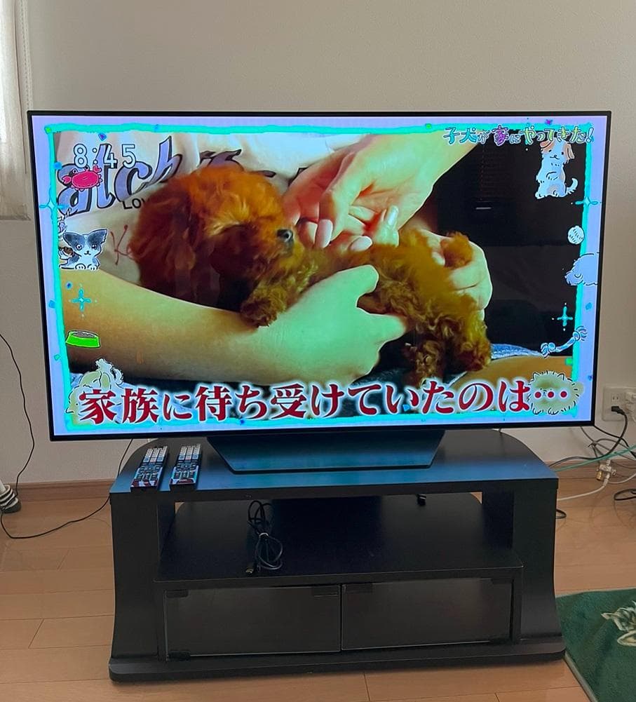 LG 55インチ 有機EL【発送不可のため引取希望】