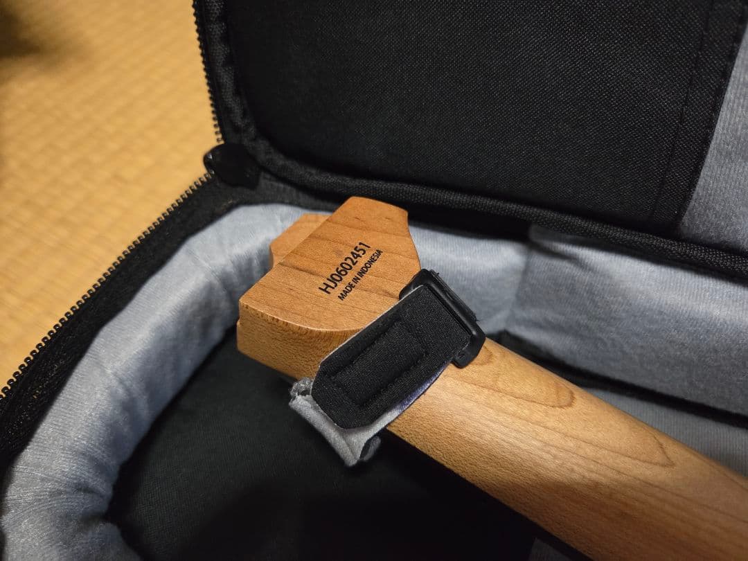 ギター HEX Guitars N500 llic Emerald Green