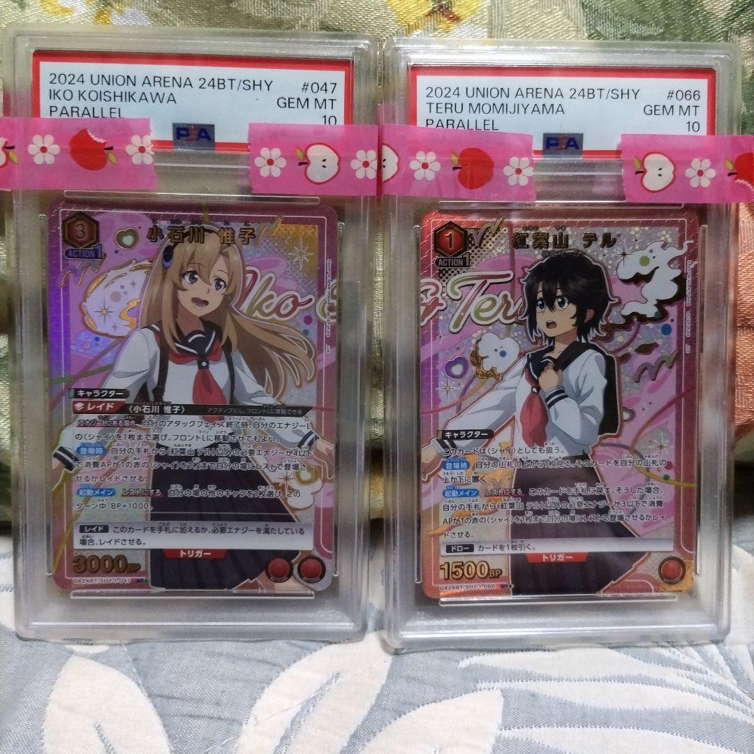 ユニオンアリーナ　シャイ