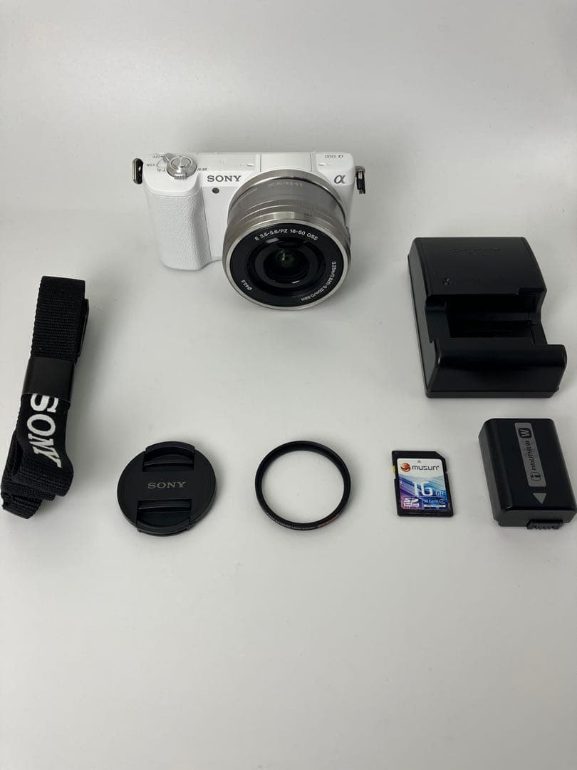【返品保証・美品】SONY α5100 パワーズームレンズキット