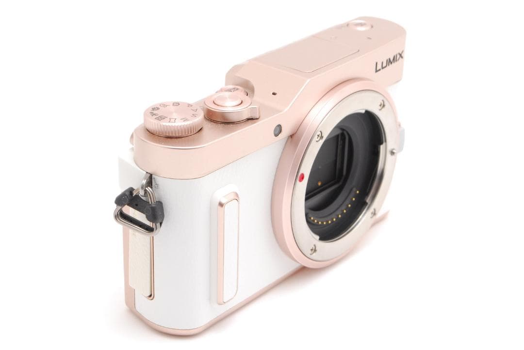 【極美】Panasonic Lumix DC-GF10W ダブルレンズキット ！