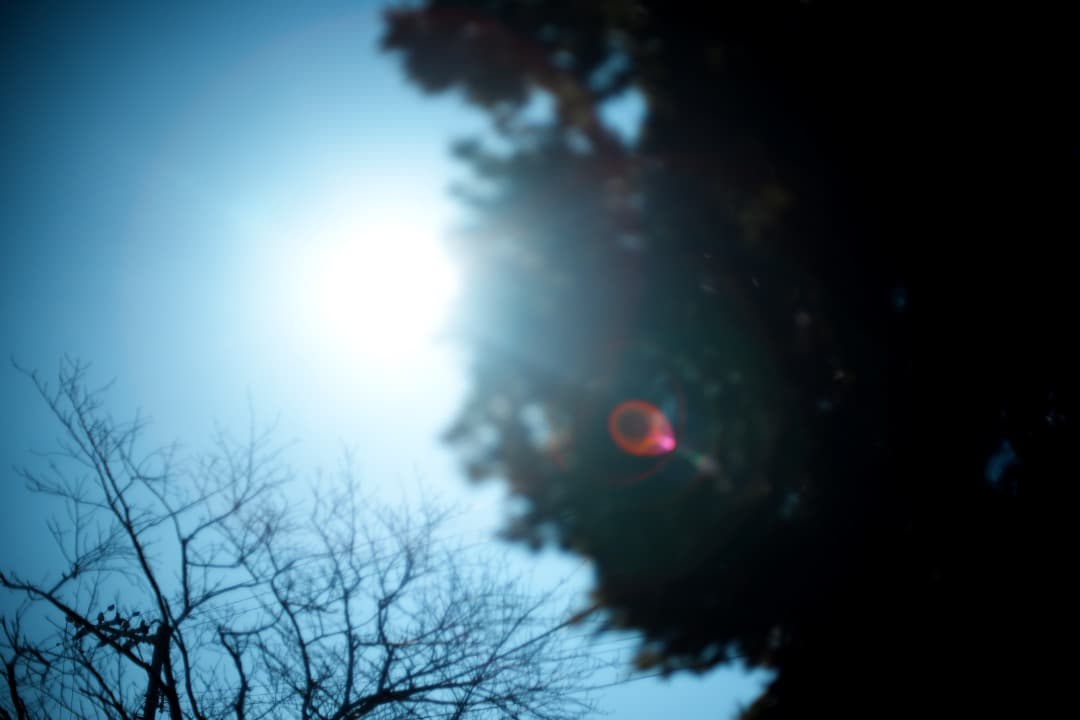 【極美品】動作◎ ニコン Ai-s Nikkor 50mm F1.4 773