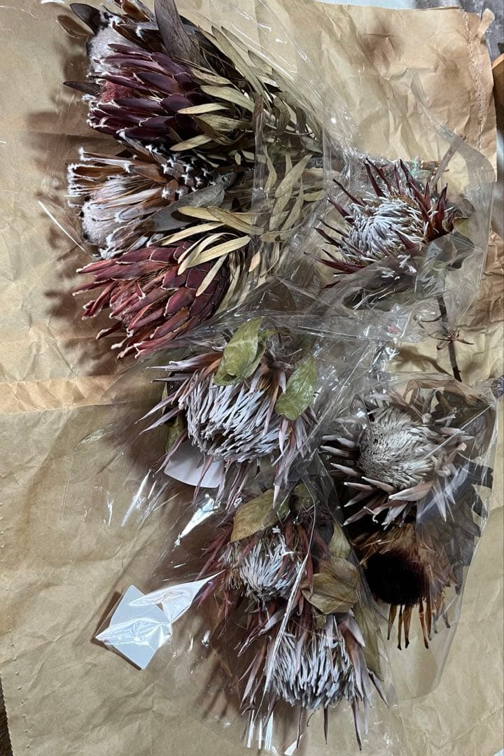 ドライフラワーネイティブフラワーセット