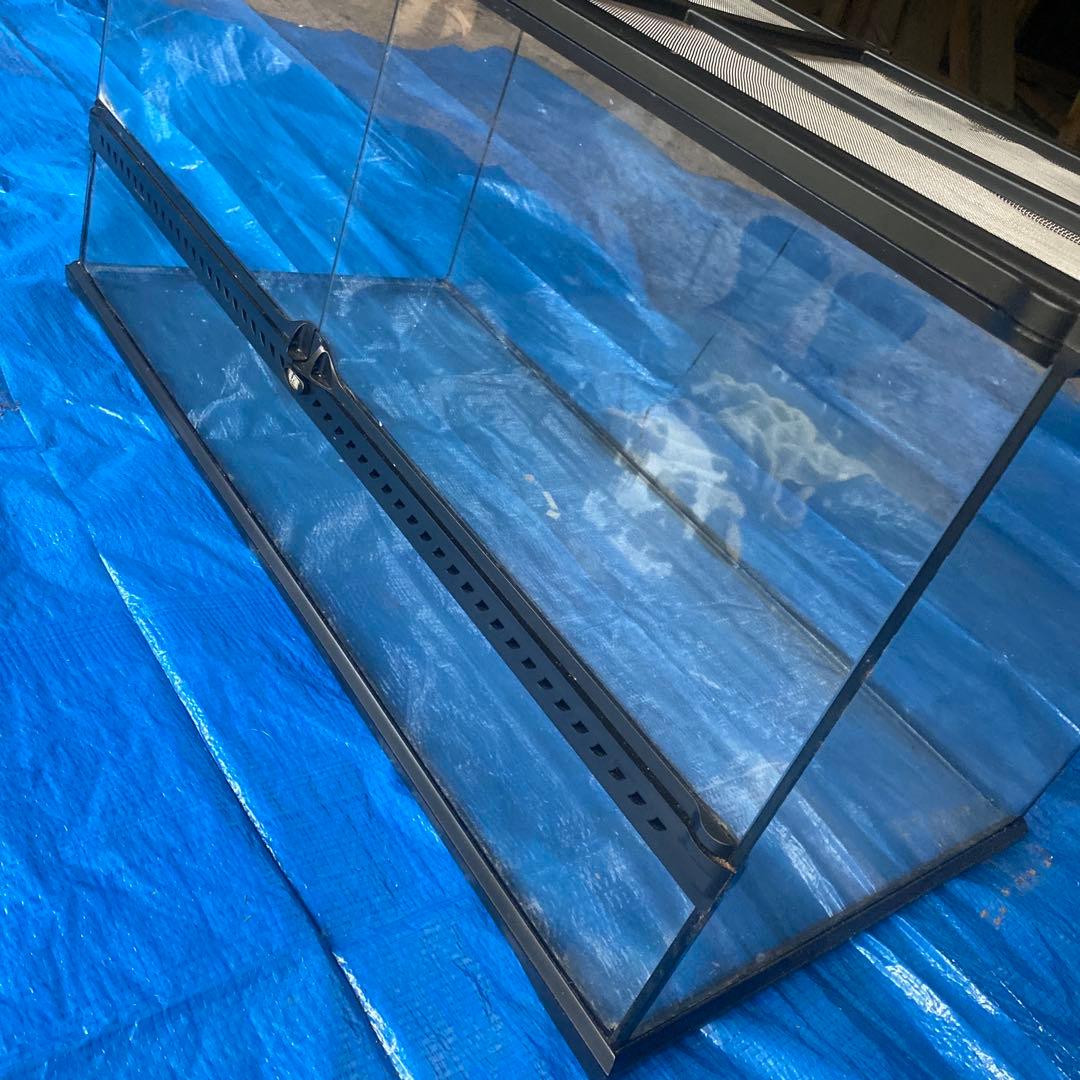 GEX エキゾテラ グラステラリウム 6030