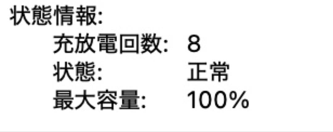 MacBookPro 13インチ M2 256GB 8GB 最大容量100％