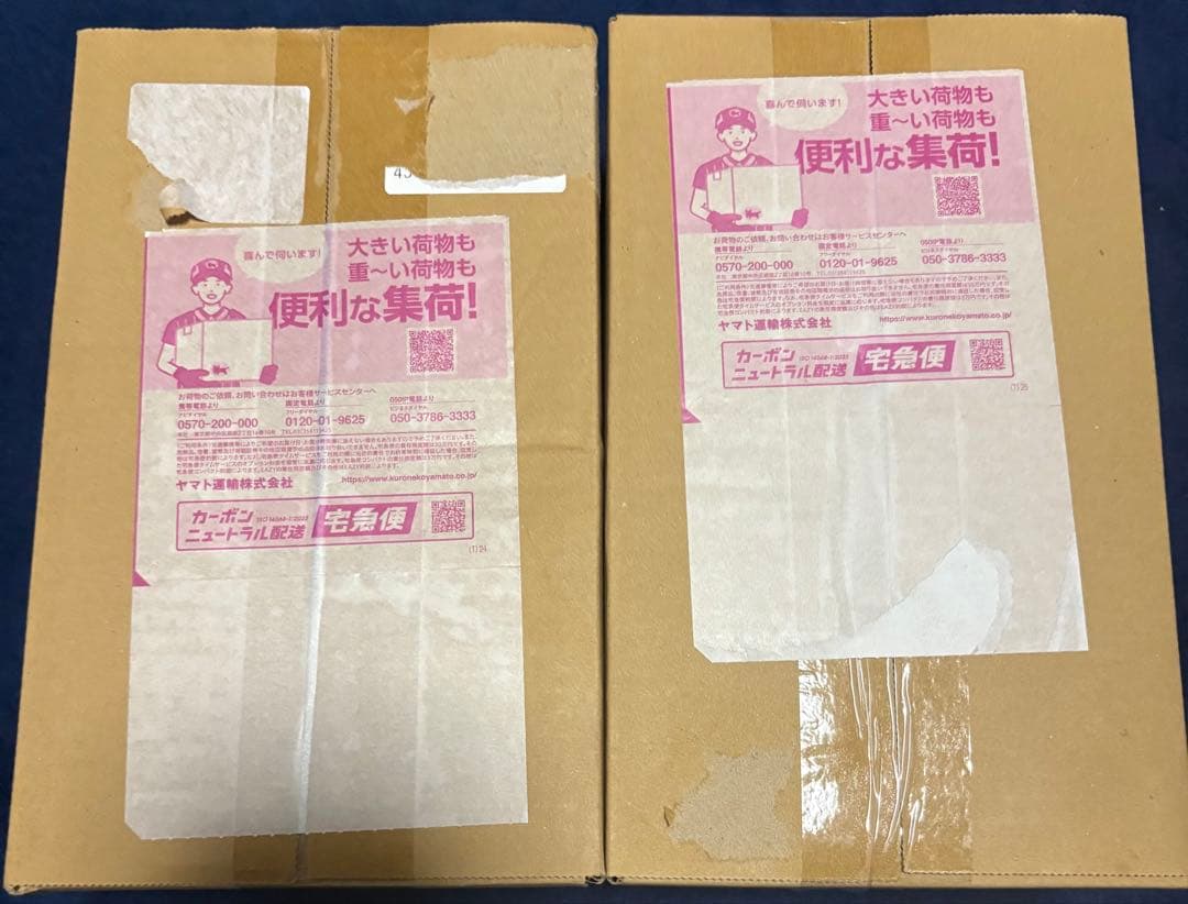 ポケモンカード トウホク フクオカ