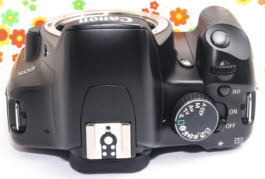 美品 キャノン Canon kiss x2☆スマホに転送☆お手軽一眼レフ♪