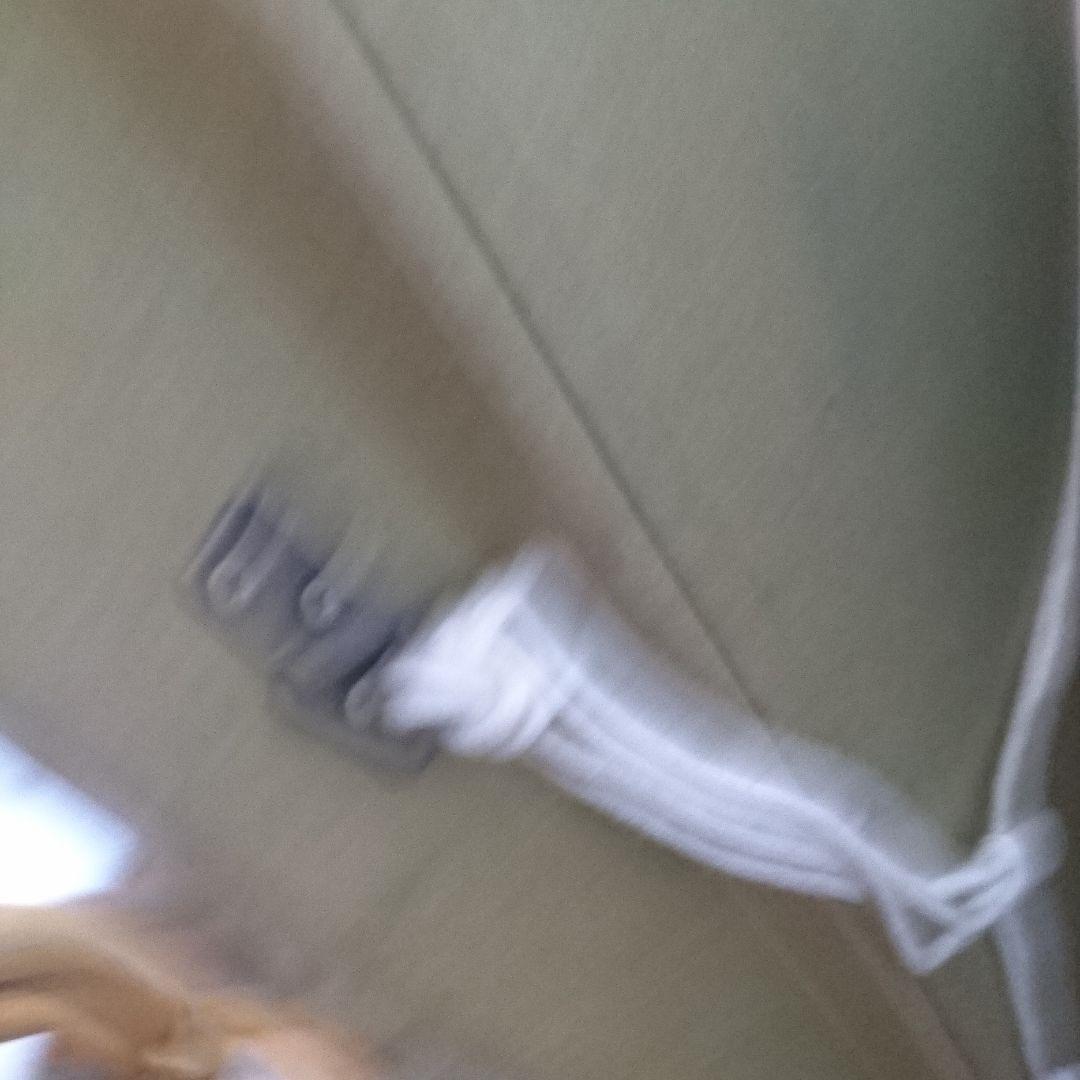 Ｆ20 油絵用 金色 油彩 額縁