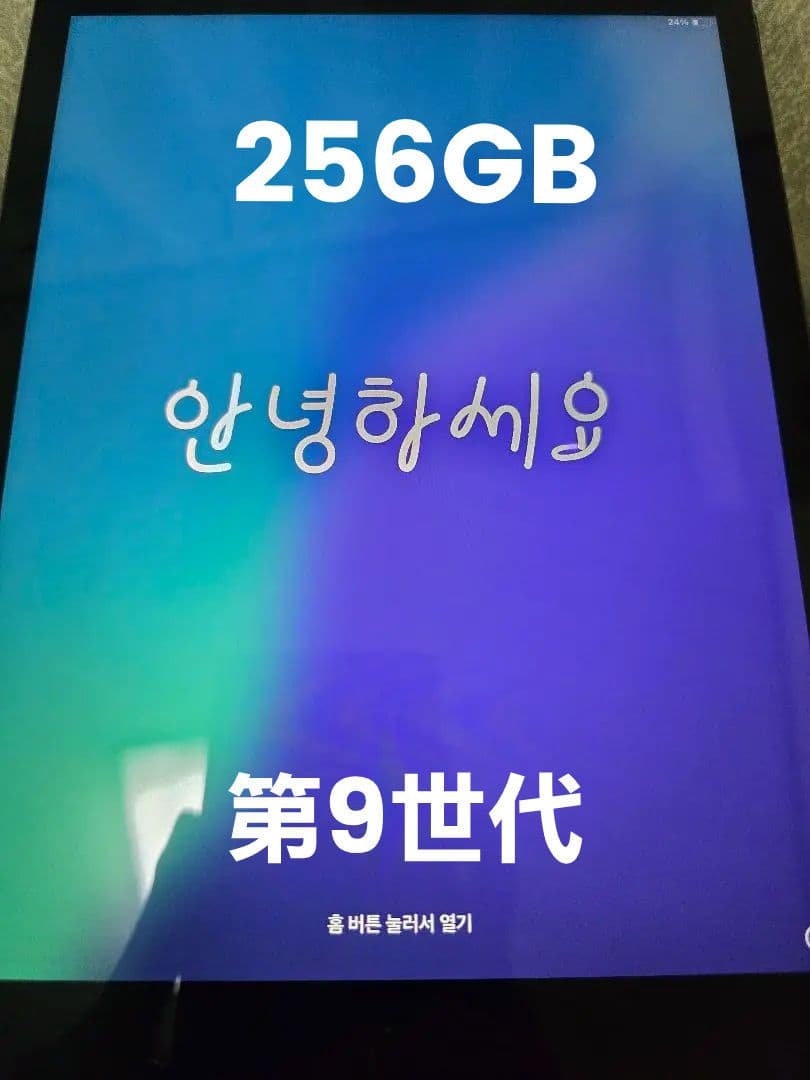 iPad 第9世代 Wi-Fiモデル(256GB)