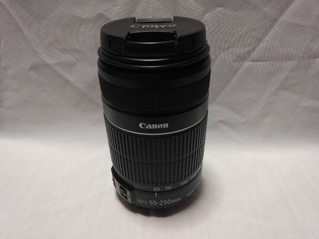 Canon EFS55-250mm 望遠レンズ ジャンク