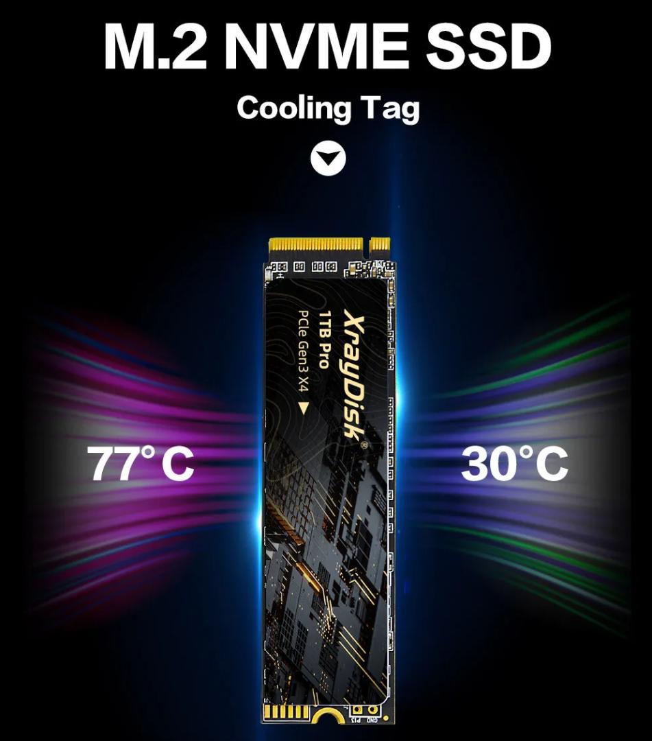 内蔵型SSD XrayDisk 1TB Pro PCIe Gen3 X4 NVMe SSD