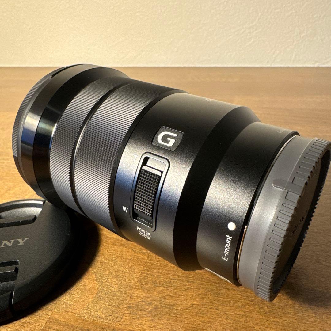 SONY 18-105mm F4 | SELP18105G | プロテクター付き