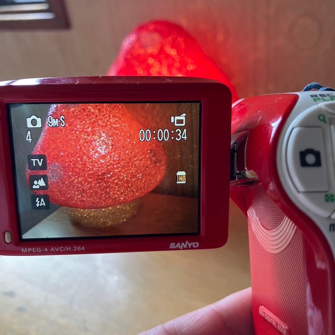 三洋電機 DMX_CG9 デジタルムービーカメラ　レトロ　希少