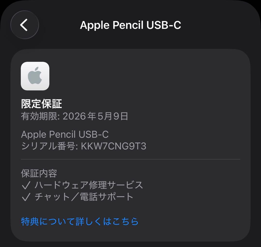 未使用品　保証付き　2025年5月購入品　Apple Pencil USB-C