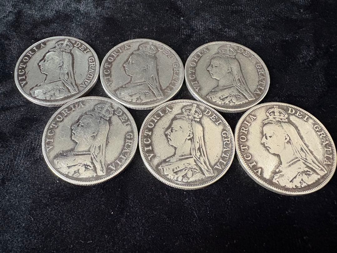 ダブルフローリン銀貨 シェルセット