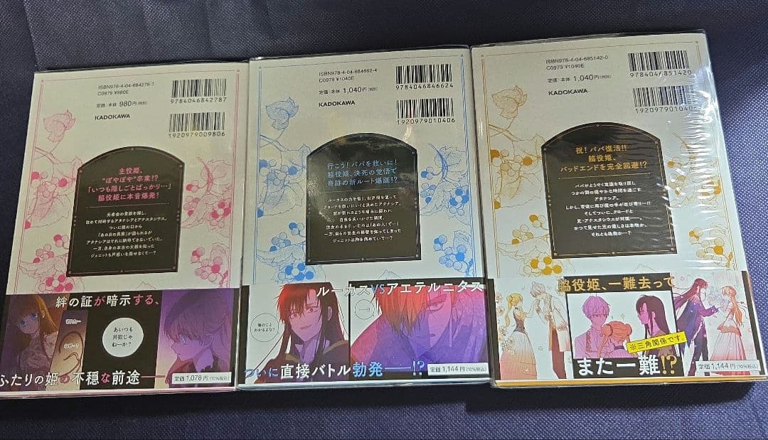 ある日、お姫様になってしまった件について　全13巻