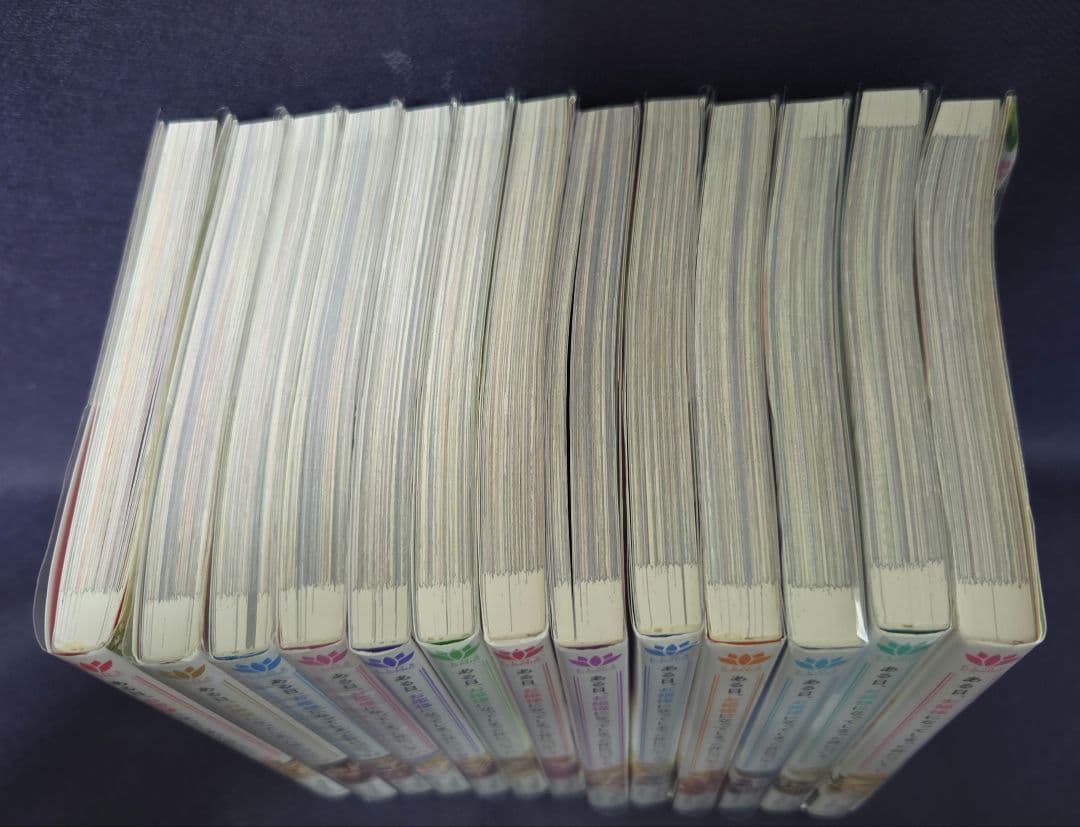 ある日、お姫様になってしまった件について　全13巻