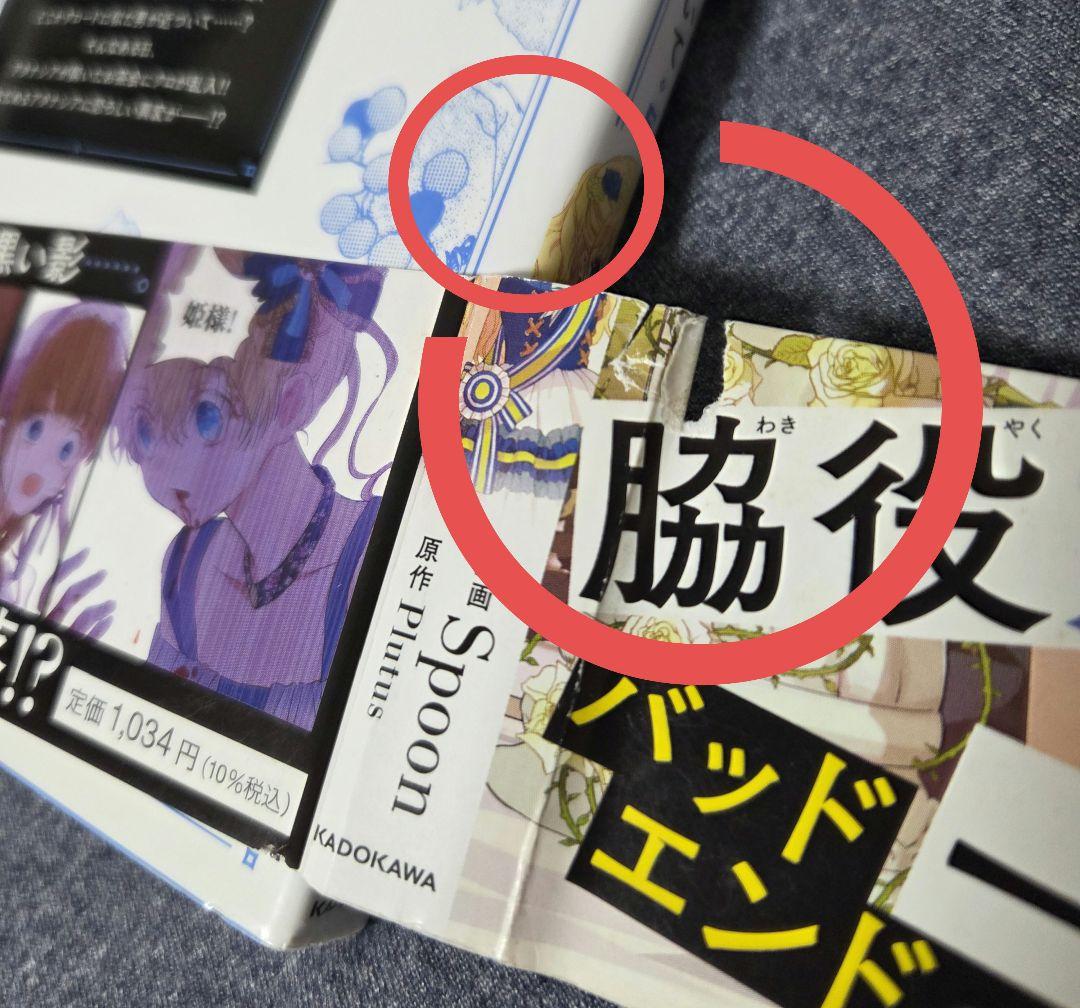 ある日、お姫様になってしまった件について　全13巻