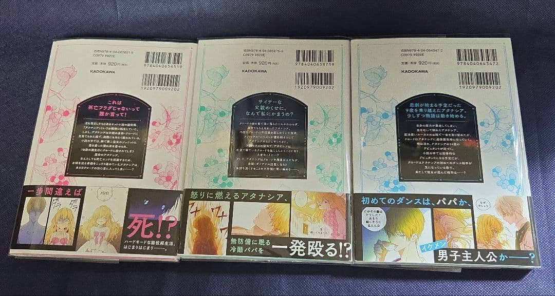 ある日、お姫様になってしまった件について　全13巻