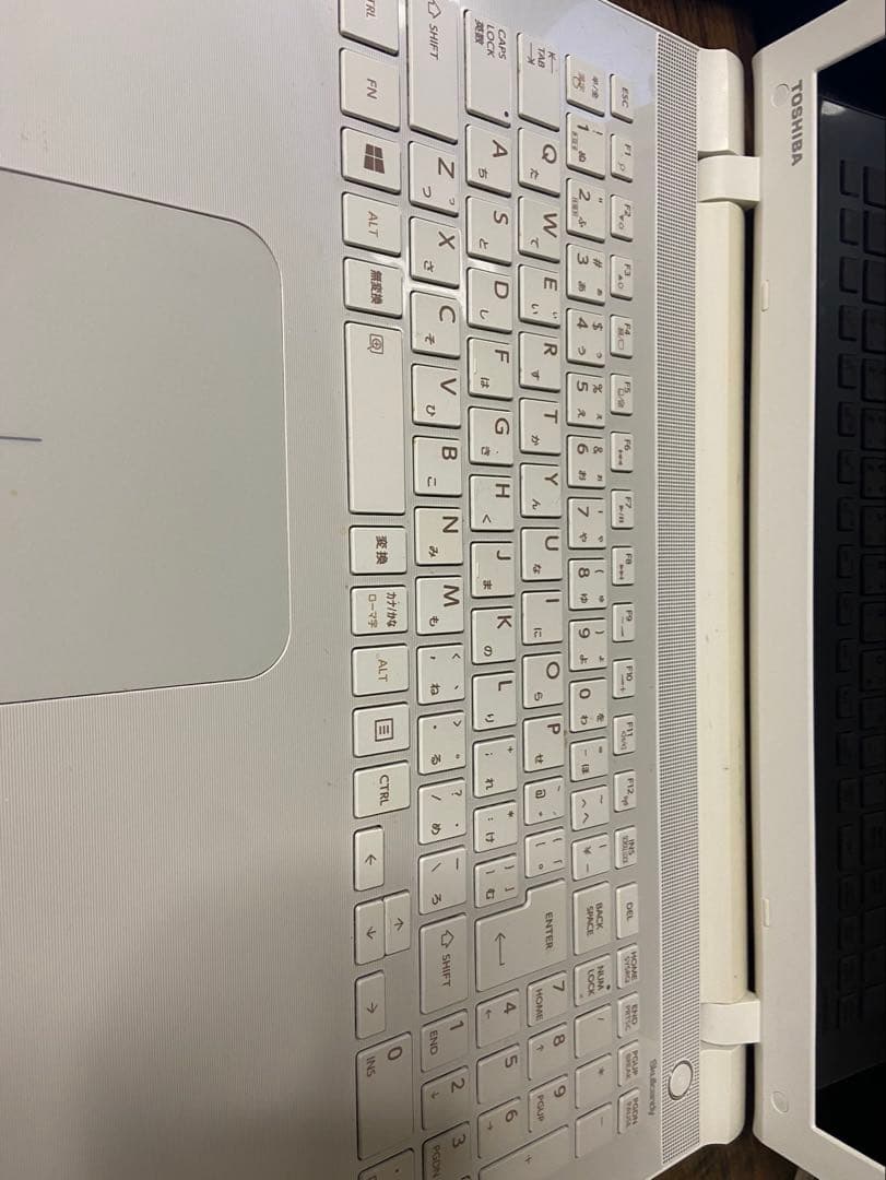 XPPen Artist Pro 16 ➕ DynaBook/東芝ノートパソコン