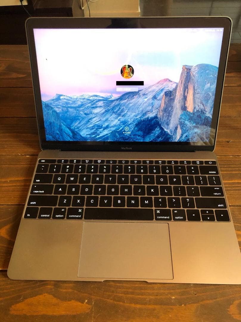 Apple MacBook 12inch Retina 256GB メモリ8GB