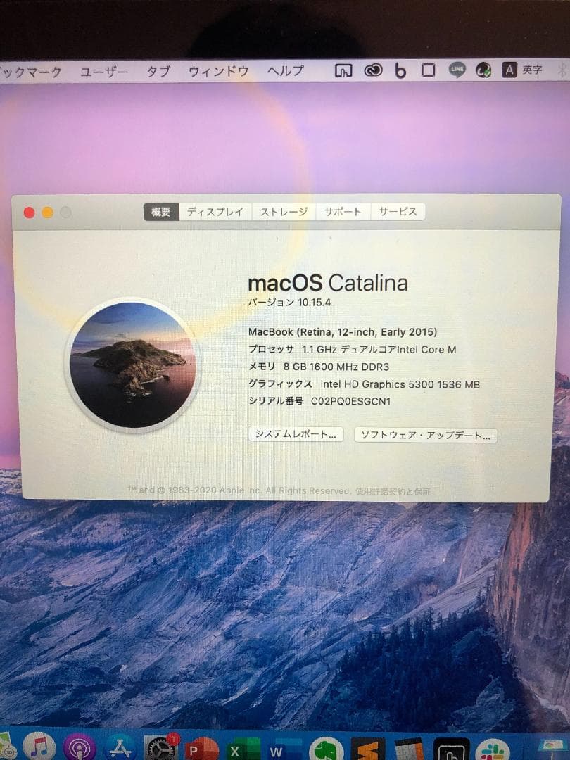 Apple MacBook 12inch Retina 256GB メモリ8GB