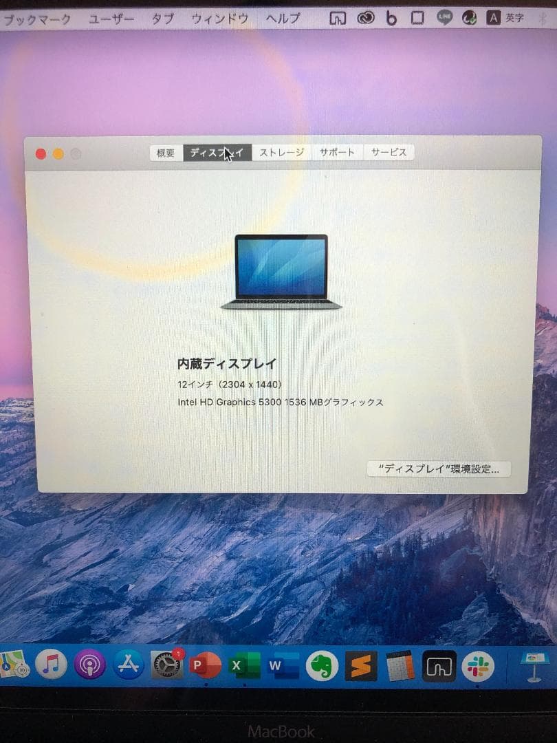 Apple MacBook 12inch Retina 256GB メモリ8GB