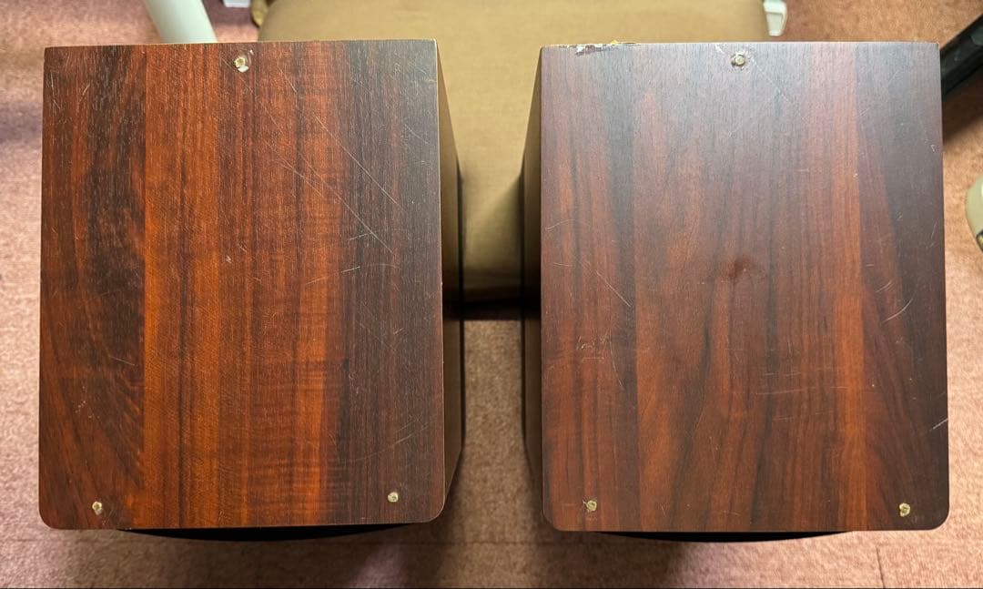 テング 6月1日購入予定