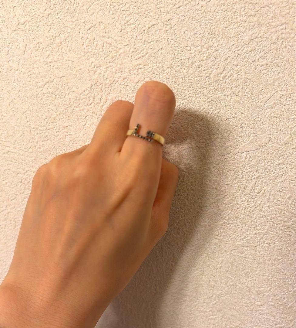 ARTIDA OUD アルティーダウード　パヴェダイヤモンド オープン リング