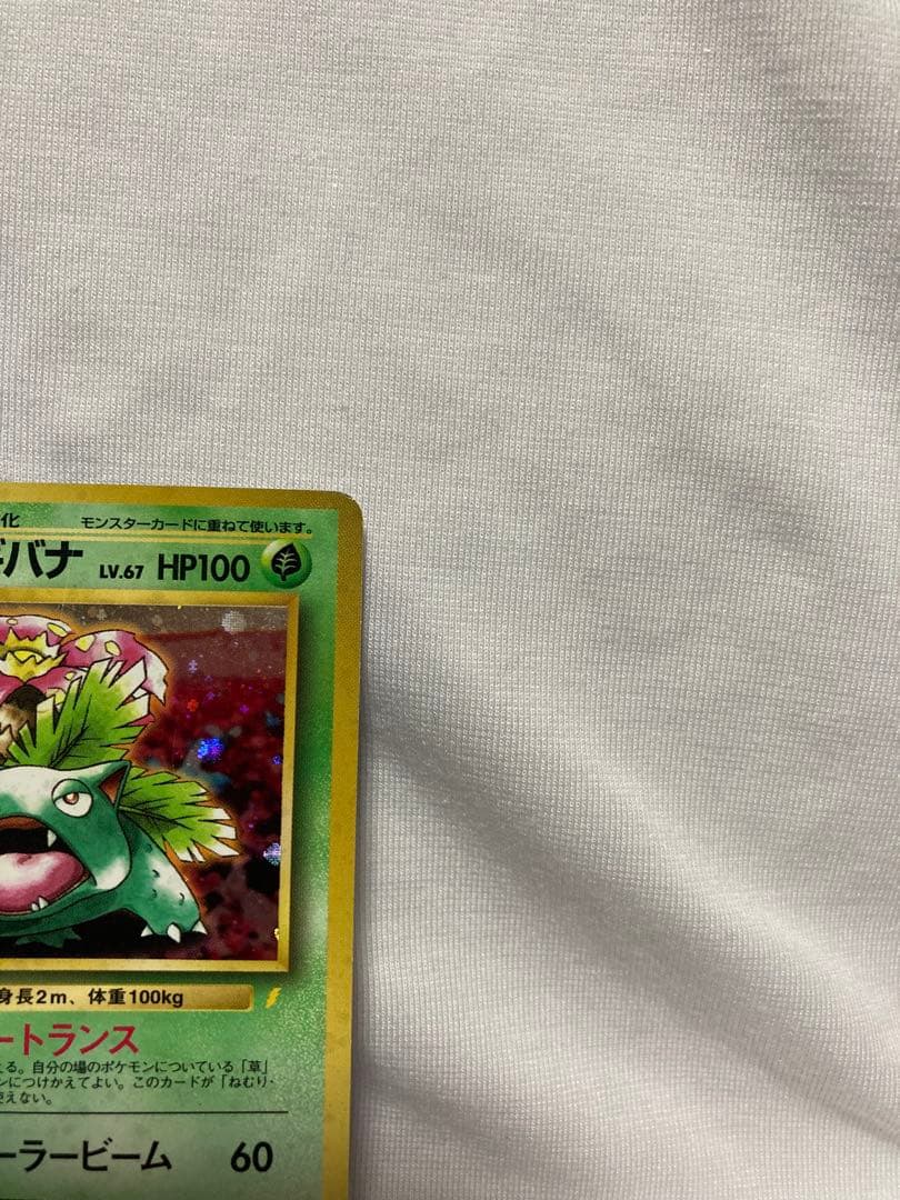 【PSA6】 旧裏 フシギバナ とりかえっこプリーズ CDプロモ　PROMO